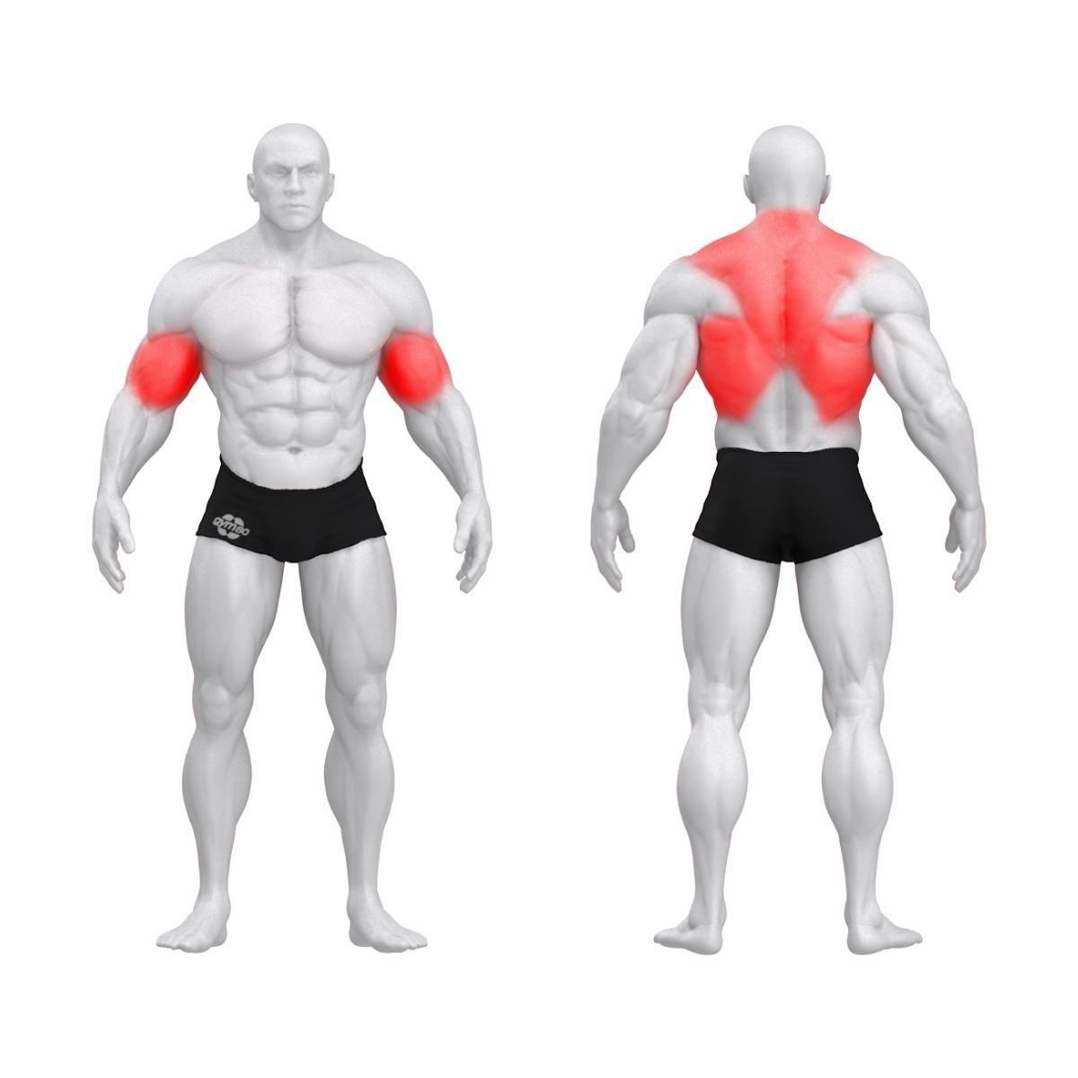 Gym80 Ülatõmbemasin DUAL, Pure Kraft, muscles. Tootekood: 4340