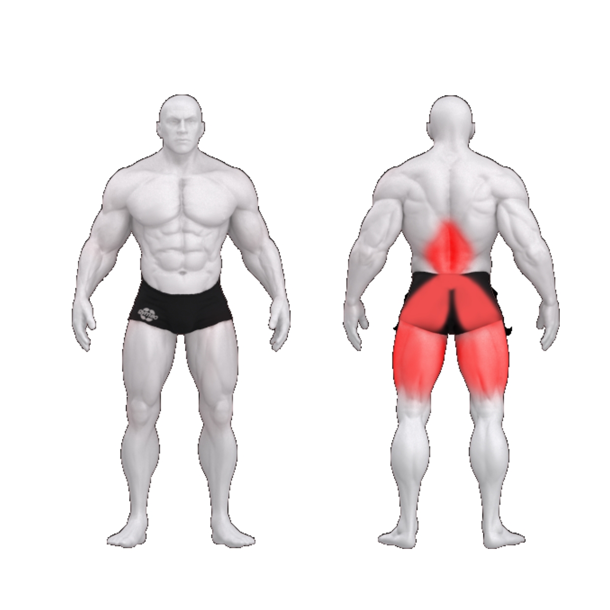 gym80 Tagurpidi hüperekstensiooni masin, 80athletics, muscles. Tootekood: 80A00013