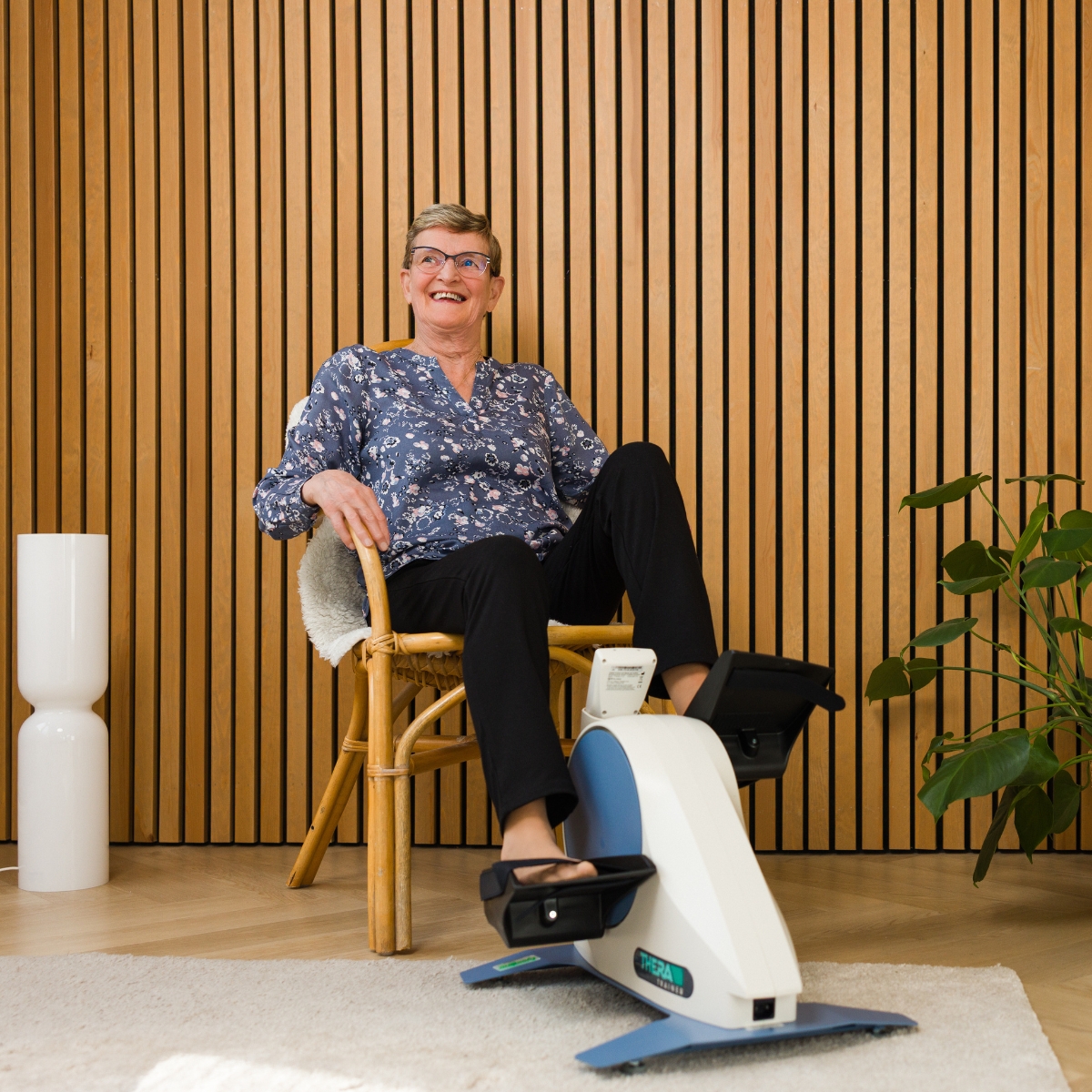 Thera-Trainer Mobi 540 käte-jalgade trenažöör_a Tootekood: A004_419