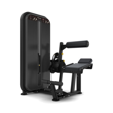 Vision Fitness Kõhu-/Alaseljamasin. Tootekood: VST600_S531