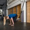 Wrange Suspension Trainer. Tootekood: wr_suspension