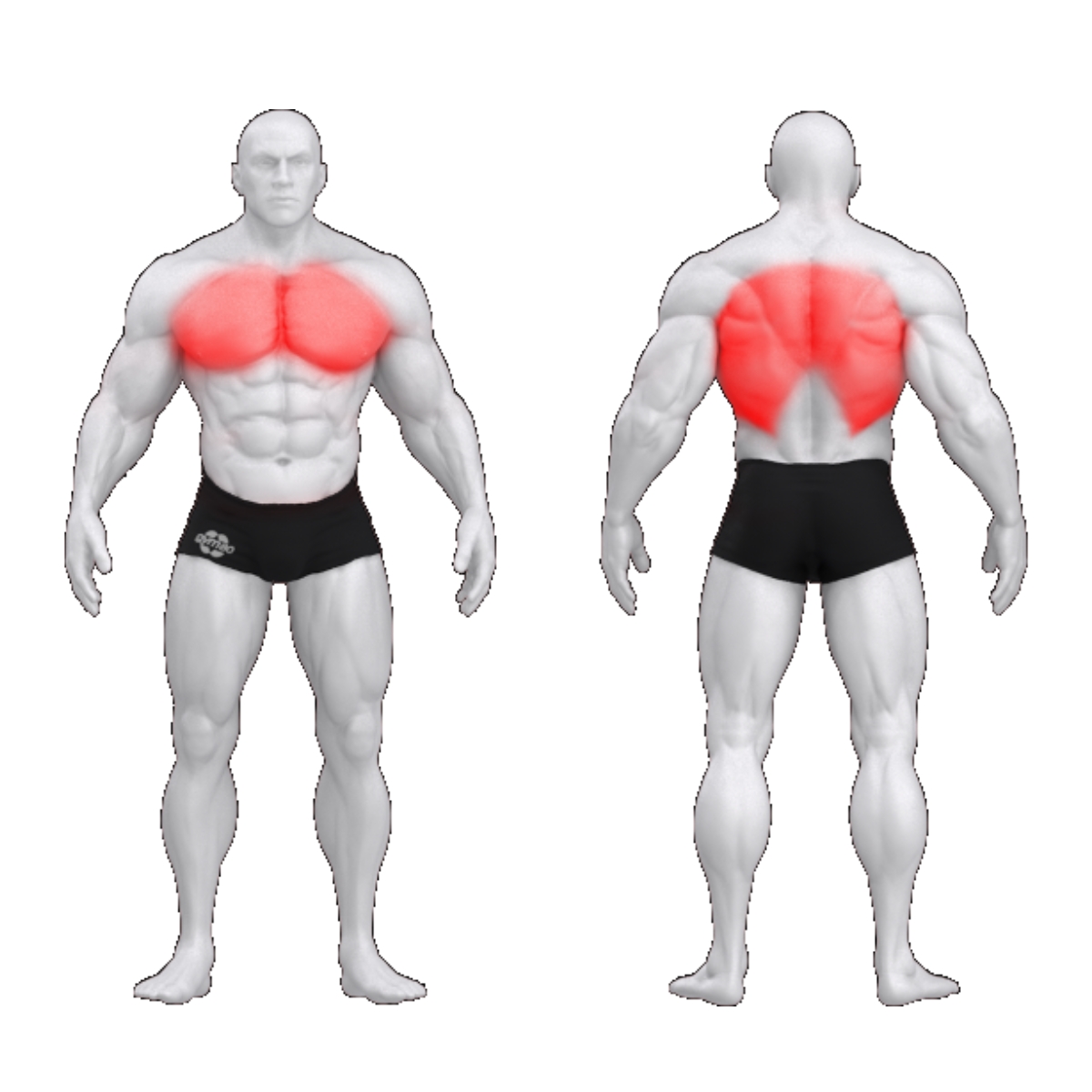 gym80 Pullover, Pure Kraft, muscles. Tuotekood: 0004350N