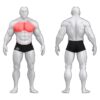 gym80 Lying Inner Chest, Pure Kraft, treenitavad lihased. Tootekood: 00004376