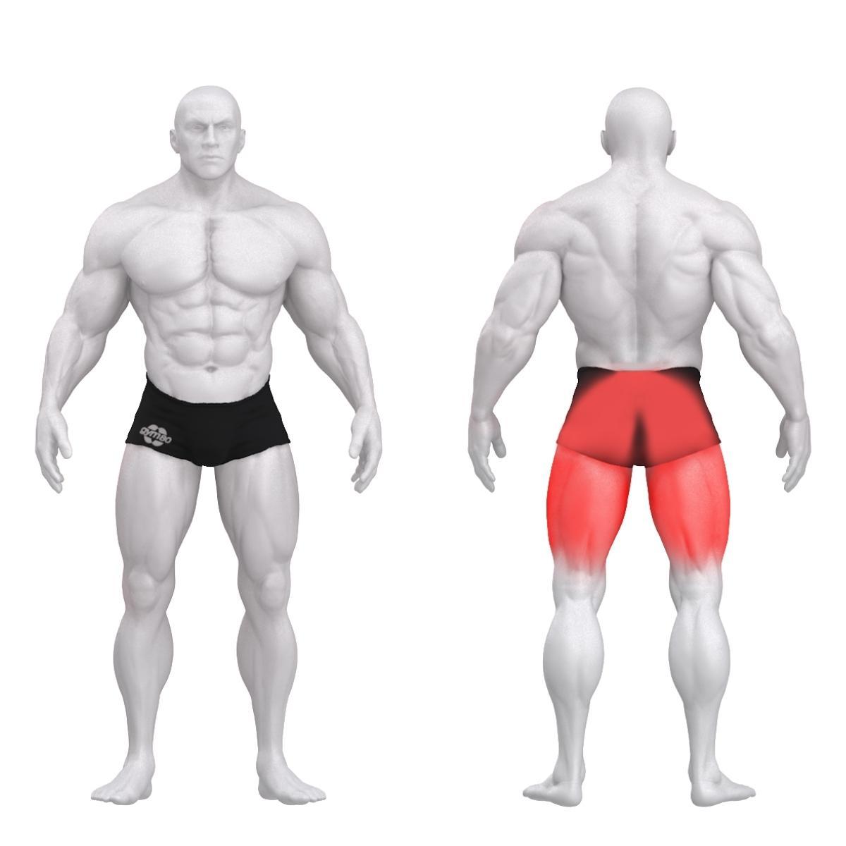 Gym80 Tuhara plokkmasin seistes asendis, Sygnum Standard, muscles. Tuotekood: 3005