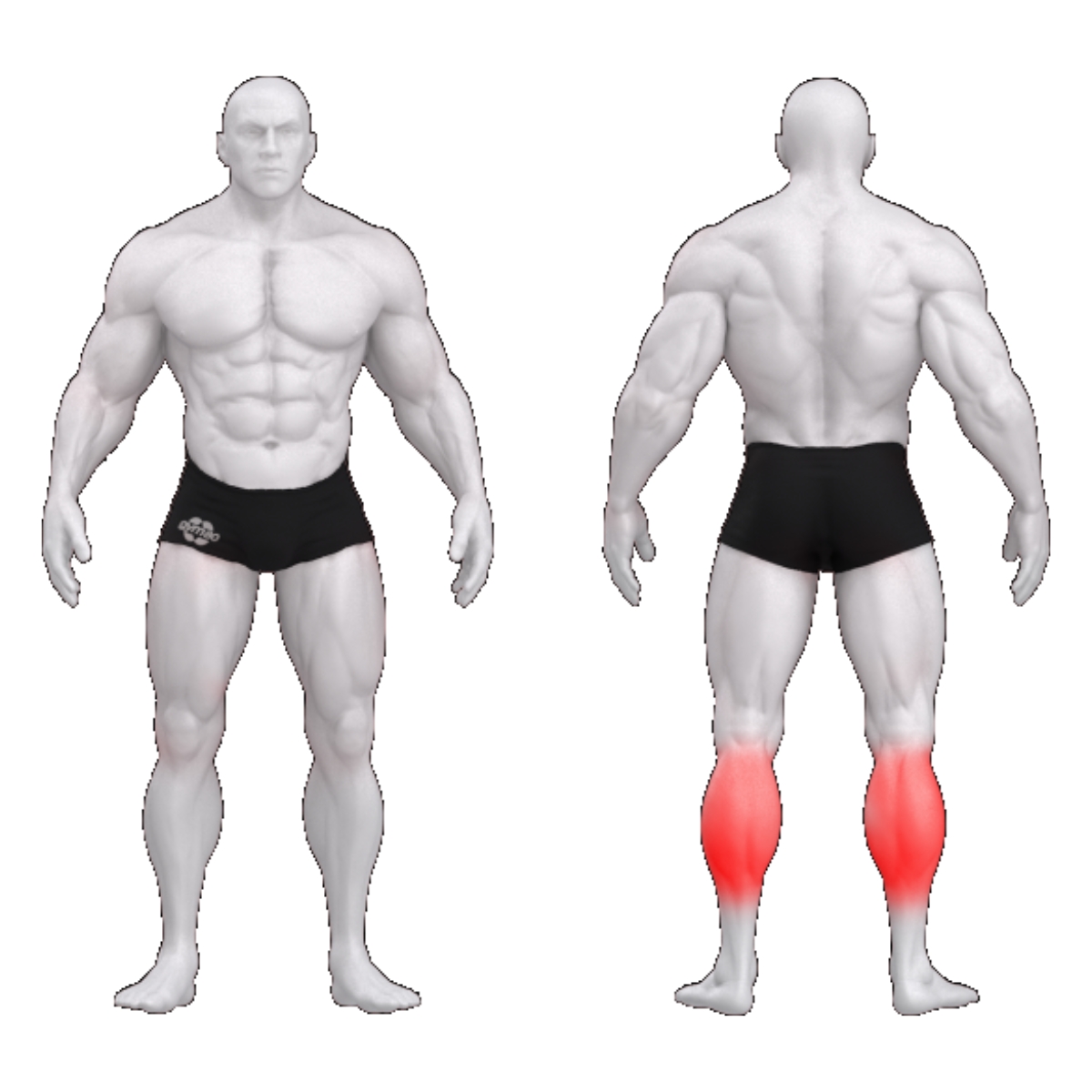 gym80 Säärepress “Eesel” plokkmasin, Sygnum Standard, muscles. Tuotekood: 3094