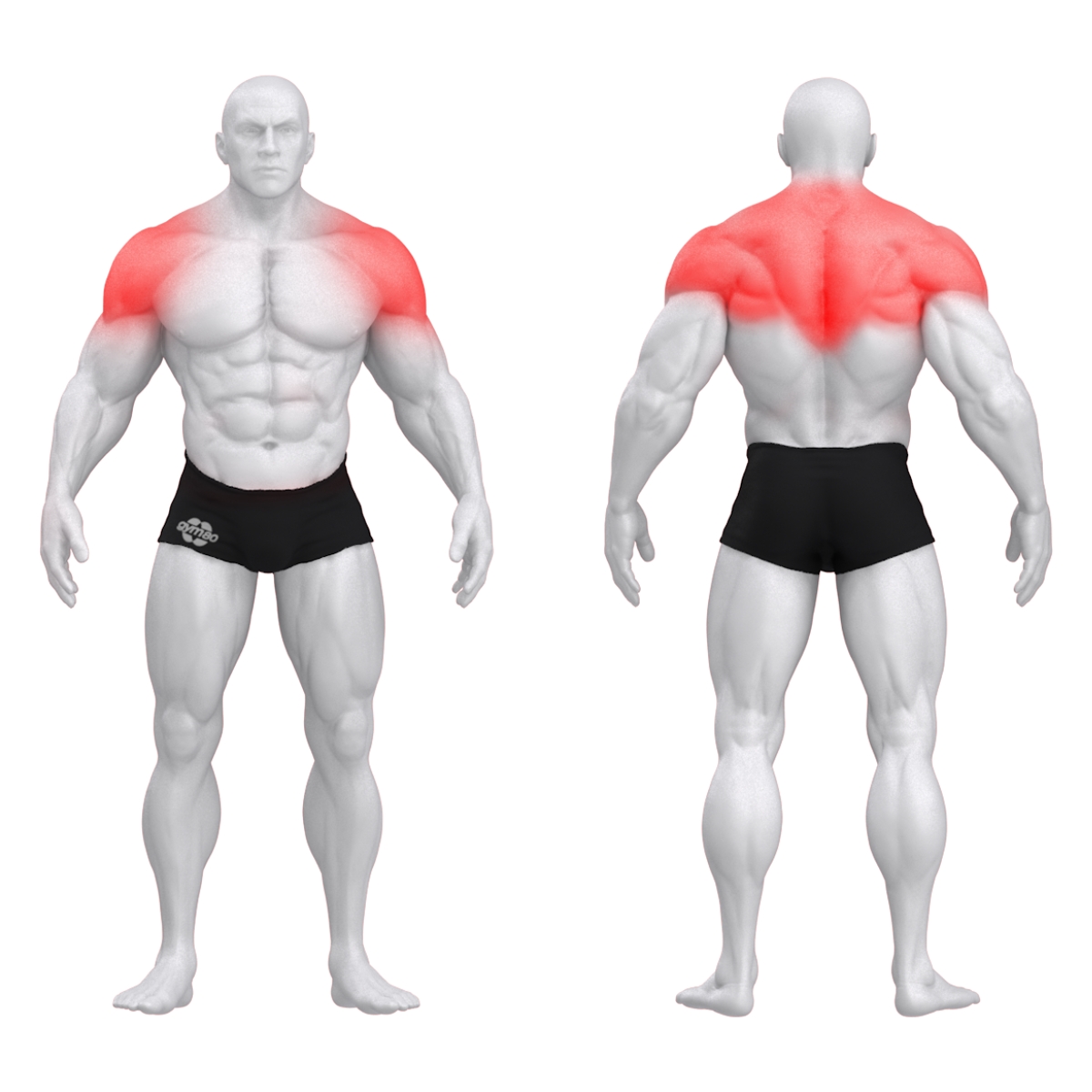 Gym80 Trapetslihase surumise plokkmasin, Sygnum Standard, muscles. Tuotekood: 3096