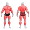 Gym80 8-Treeningkohaga plokkmasin, Sygnum Standard, muscles. Tootekood: 4170