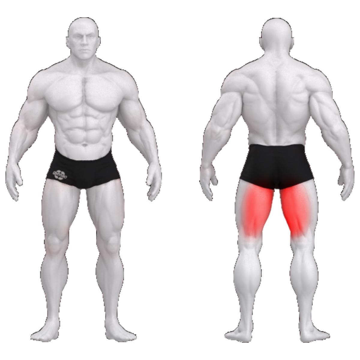 Gym80 Reie kõverdaja plokkmasin istumisasendis, Sygnum Standard, muscles. Tuotekood: 3003