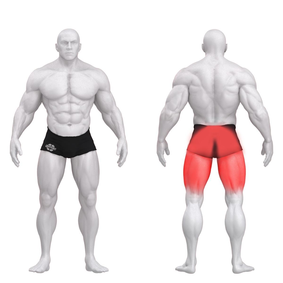 Gym80 Reie kõverdaja plokkmasin lamades, Sygnum Standard, muscles. Tuotekood: 3002 Gym80 Reie kõverdaja plokkmasin lamades, Sygnum Standard, muscles. Tuotekood: 3002