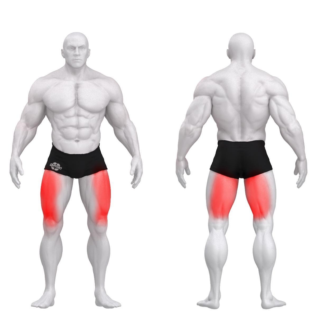 Gym80 Reie sirutaja/kõverdaja plokkmasin, Innovation Kombi, muscles. Tuotekood: 00005013