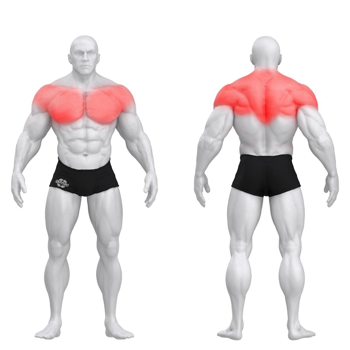 Gym80 Rinna/ Trapetsi Kombi plokkmasin, muscles. Tuotekood: 00005014